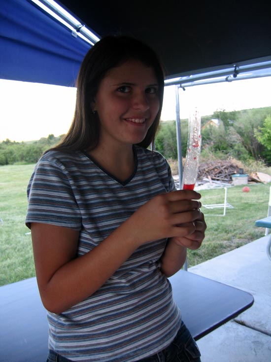 2005 family reunion in Malad, ID